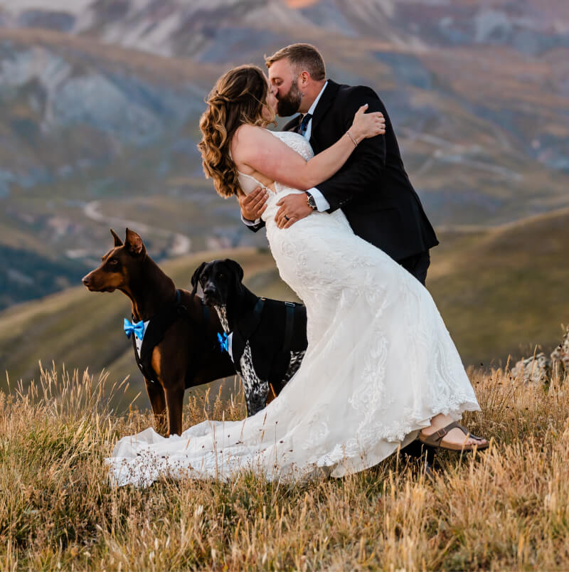 A couple on their elopement day kiss one another, with their two pups next to them.